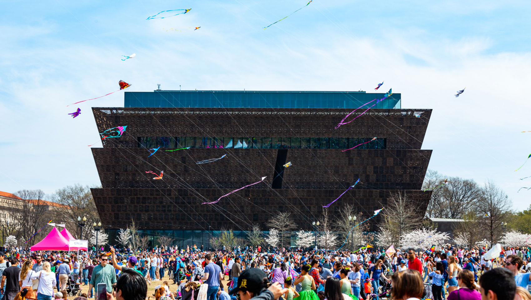 Large crowd outside during a kite festival outside the Museum of African American History and Culture in Washington, D.C.