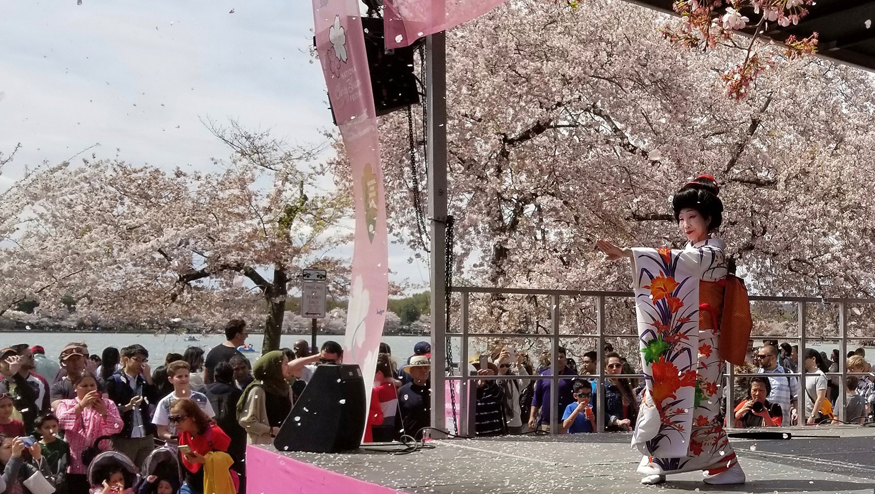 Female artist Sachiyo Ito at the Cherry Blossom Festival in Washington, D.C. 