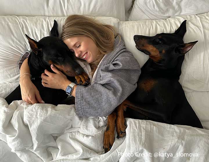 Hotel George guests snuggles with two dogs